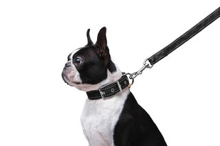 Поводок "Dog Extremе" нейлоновый двойной (ширина 20мм, длина 122см), черный