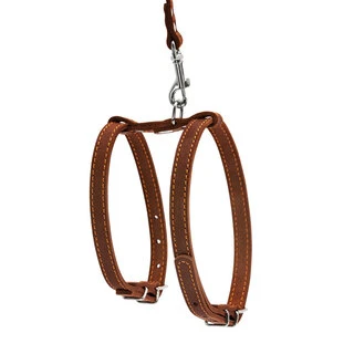 Шлея "CoLLaR" з повідцем для дрібних собак (ширина 14мм, А:27-35см, В:35-45см, довжина 122см), коричнева