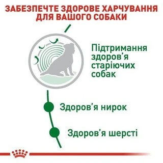 Сухой корм Royal Canin Mini Ageing 12+ для собак мелких пород старше 12 лет 800 г