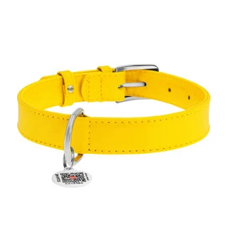 Нашийник для собак шкіряний WAUDOG Glamour з QR паспортом, без прикрас, Ш 25 мм, Дл 38-49 см, жовтий
