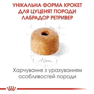 Корм Royal Canin Labrador Retriver Puppy сухой для щенят породы лабрадор 3 кг