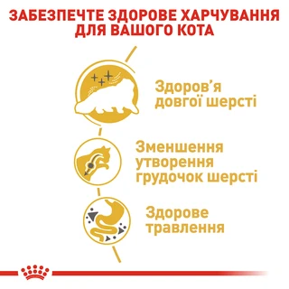 Сухий корм для дорослих котів Royal Canin Persian Adult 2 кг