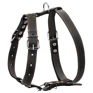 Шлея "CoLLaR" одинарная  (ширина 25мм, А:49-68см, В:68-80см), черный