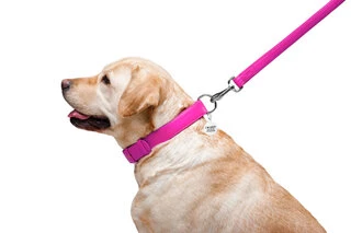 Повідок для собак шкіряний WAUDOG Glamour, Ш 25 мм, Дл 122 см, рожевий
