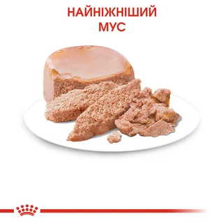 ПАК. Вологий корм для новонароджених кошенят Royal Canin Mother &amp;amp; Babycat Cans 6 шт по 195 г