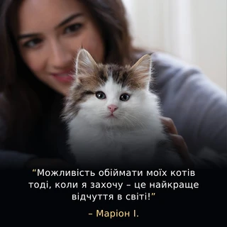Сухий повнораціонний корм для кошенят Purina Pro Plan LiveClear для зменшення алергенів на шерсті з індичкою 1.4 кг