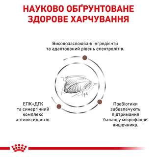 Сухий корм для дорослих котів Royal Canin Gastro Intestinal Cat 2 кг