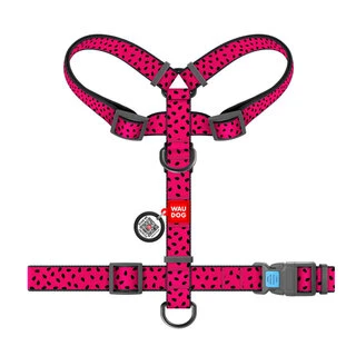 Анатомічний H-подібний нашийник для собак WAUDOG Nylon з QR-паспортом, малюнок "Арбуз", пластиковий фастекс, S, Ш 15 мм, A 30-40, B 30-50