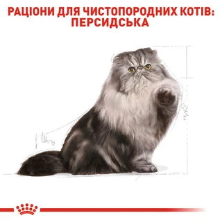 Сухий корм для дорослих кішок Royal Canin Persian Adult 2 кг