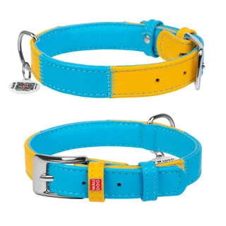 Ошейник для собак кожаный WAUDOG Glamour с QR паспортом, &quot;Colors of freedom&quot;, L, Ш 25 мм, Дл 38-49 см