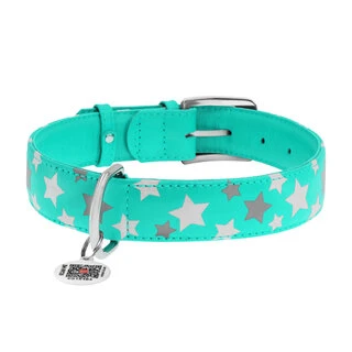 Нашийник для собак шкіряний WAUDOG Glamour з QR паспортом, візерунок "Зірочка", що світиться/світловідбиваючий, Ш 35 мм, Дл 46-60 см, ментоловий