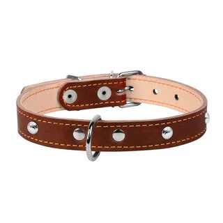 Нашийник "CoLLaR" подвійний з прикрасами (ширина 14мм, довжина 27-35см), коричневий