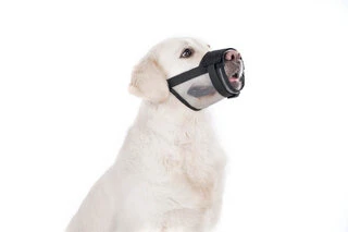 Намордник нейлоновый "Dog Extremе" регулируемый с сеткой №1 (А:14-20см) (йорк, пудель, кокер-спаниел