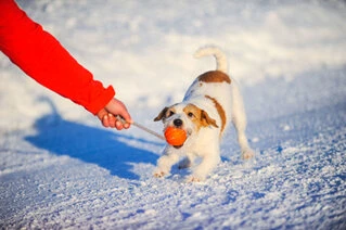 М'ячик ЛАЙКЕР5 Корд на шнурі, діаметр 5 см