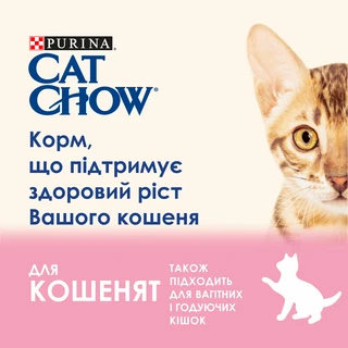Упаковка вологого корму для кошенят Purina Cat Chow Kitten шматочки в желе з індичкою та цукіні 85 г x 26 шт