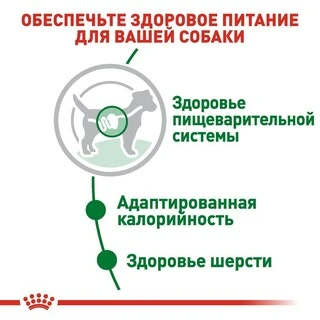 ПАК.Вологий корм Royal Canin MINI ADULT для дорослих собак Дрібних порід 12 шт по 85 г