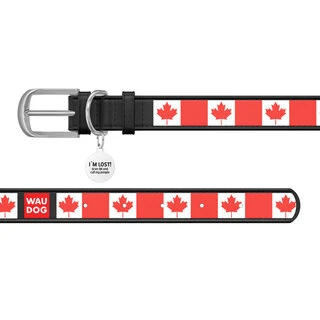 Ошейник WAUDOG Design с рисунком "Кленовый лист", премиум кожа, металлическая пряжка (ширина 15 мм, длина 27-36 см), черный