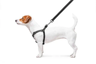 Поводок для собак водостійкий WAUDOG Waterproof з QR-паспортом, металевий фастекс, Ш 15 мм, Дл 40-55 см, чорний