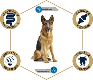 Сухий корм для дорослих німецьких вівчарок Advance Dog Maxi German Shepherd 12 кг (8410650171579)