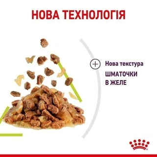 ПАК.Вологий корм Royal Canin SENSORY SMELL JELLY (Желе) для дорослих котів вибагливих у харчуванні 12 шт по 85 г
