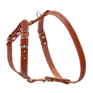 Шлея "CoLLaR" одинарна для дрібних та середніх собак (ширина 20мм, А:40-56см, В:57-65см), коричнева