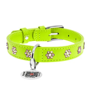 Нашийник для собак шкіряний WAUDOG Glamour з QR паспортом, з клейовими стразами "Квітка", Ш 20 мм, Дл 30-39 см, салатовий