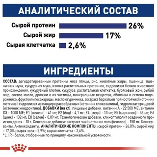 Сухий корм Royal Canin MAXI ADULT 5+ для старіючих собак Великих порід 15 кг