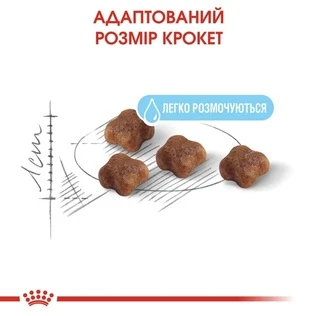 Сухой корм Royal Canin Mother and Babycat для котят до 4 месяцев 2 кг (НФ-00000218)