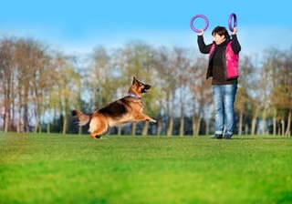 Тренировочный снаряд для собак PULLER Standard, диаметр 28см