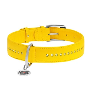Ошейник для собак кожаный WAUDOG Glamour с QR паспортом, двойной со стразами, Ш 35 мм, Дл 46-60 см, желтый