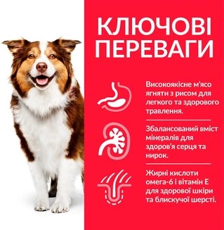 Сухий корм для зрілих собак від 7 років Hill&rsquo;s Science Plan Mature Adult 7+ Medium Breed з ягням та рисом 2.5 кг