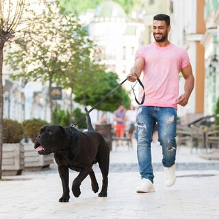 Поводок "EVOLUTOR" (ширина 25 мм, довжина 210 см), чорний