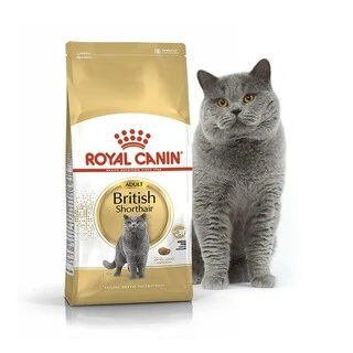 Сухой корм для котов британская короткошерстная Royal Canin British Shorthair Adult от 12 месяцев 2 кг
