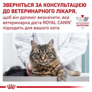 Сухий корм Royal Canin Urinary S/O Feline для дорослих котів з сечокам'яною хворобою 1.5 кг