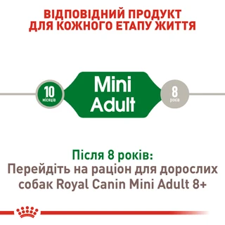 Сухой корм для собак Royal Canin Mini Adult мелких пород старше 10 месяцев 800 г