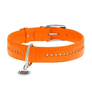 Нашийник для собак шкіряний WAUDOG Glamour з QR паспортом, подвійний зі стразами, Ш 15 мм, Дл 27-36 см, оранжевий