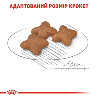 Сухой корм для собак Royal Canin Mini Adult мелких пород старше 10 месяцев 8 кг