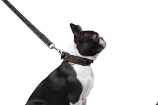 Поводок "Dog Extremе" нейлоновый двойной (ширина 20мм, длина 122см), черный