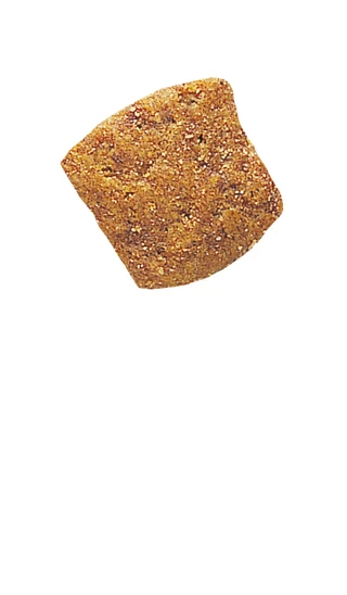 Сухий корм для котів Royal Canin Diabetic Feline, які страждають на цукровий діабет 400 г