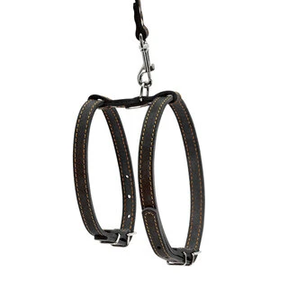 Шлея "CoLLaR" з повідцем для дрібних собак (ширина 14мм, А:27-35см, В:35-45см, довжина 122см), чорний
