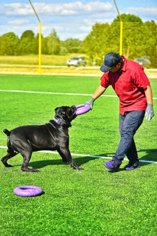 Тренувальний снаряд для собак PULLER Мaxi, діаметр 30см