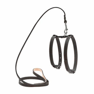 Шлея &quot;CoLLaR&quot; с поводком для мелких собак (ширина 14мм, А:27-35см,В:35-45см, длина 122см), черный
