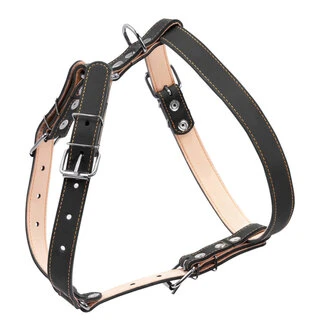 Шлея "CoLLaR" подвійна (ширина 25мм, А:49-68см, В:68-80см), чорний