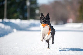 Мячик ЛАЙКЕР7 Лайн, диаметр 7 см