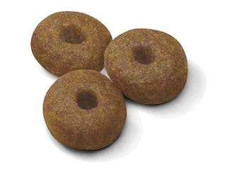 Сухой корм для щенков крупных пород Royal Canin Maxi Starter до 2 месяцев 4 кг