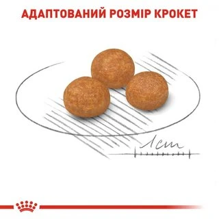 Сухий корм Royal Canin Xsmall Adult для собак мініатюрних розмірів від 10 місяців до 8 років, 3 кг