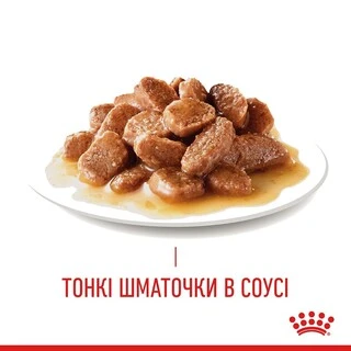 ПАК.Влажный корм для взрослых кошек Royal Canin HAIR&amp;amp;SKIN IN GRAVY (Соус) поддержание здоровья кожи и шерсти12шт по 85 г