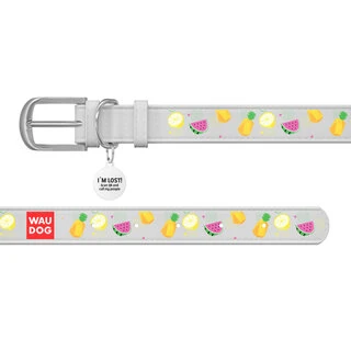 Нашийник WAUDOG Design з малюнком "Фрукти", преміум шкіра, металевий пряжка (ширина 25 мм, довжина 38-49 см), білий