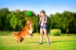 Летюча тарілка ФЛАЙБЕР, діаметр 22 см, салатовий