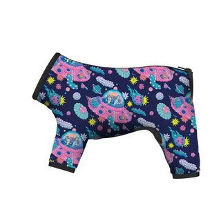 Дождевик для собак WAUDOG Clothes рисунок "Рик и Морти 1", S35, В 47-51 см, С 35-39 см